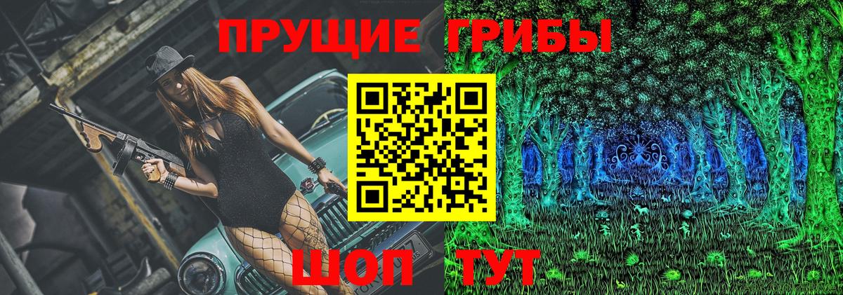 Галлюциногенные грибы мицелий  наркотики  Отрадное  Вход с VPN 